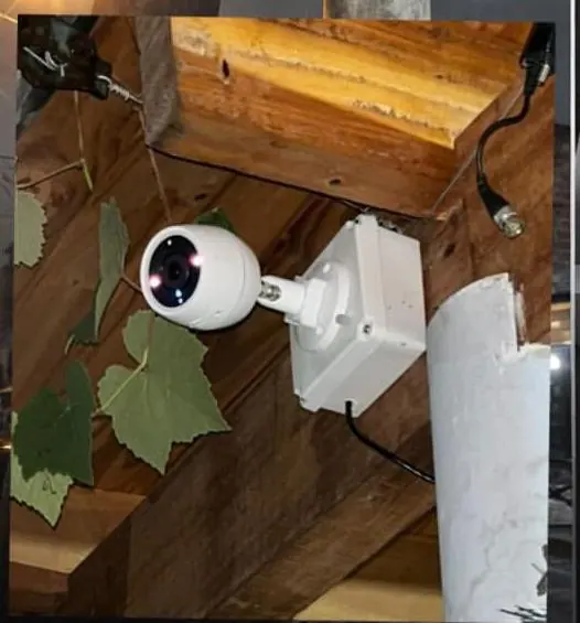 Cámara instalada de noche en una viga de madera, con el infrarrojo encendido